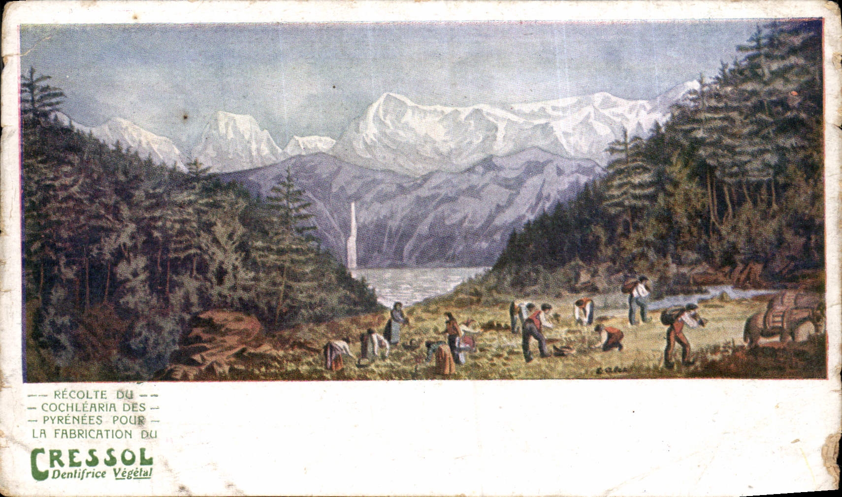 CPA Montagne Publicite Dentifrice Cressol 