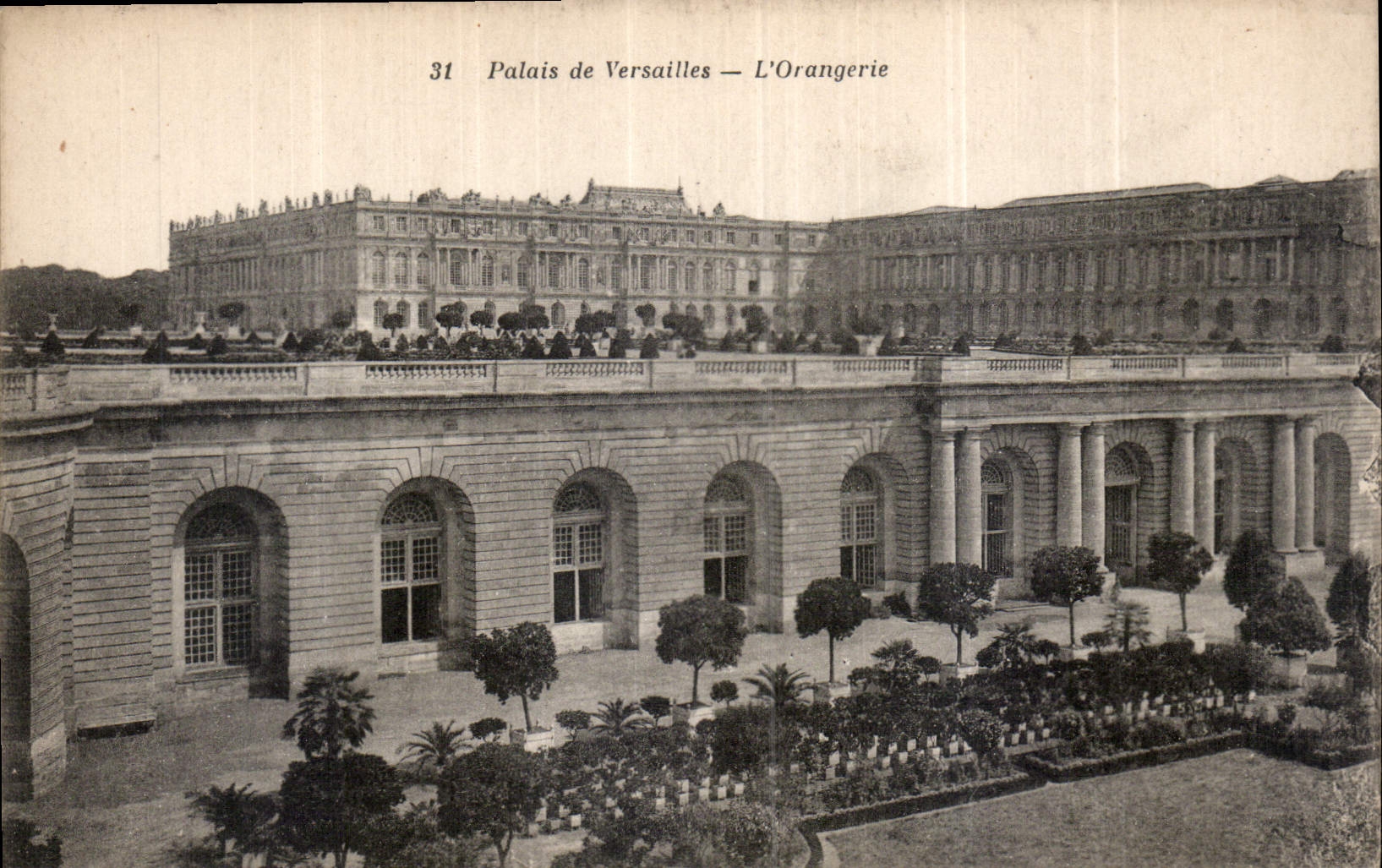 CPA Palais de Versaille l'Orangerie 
