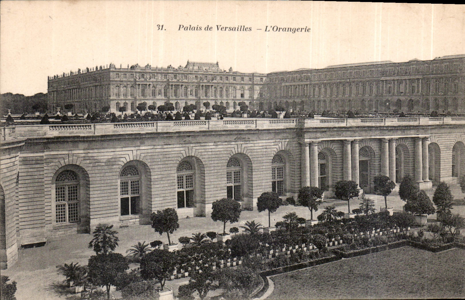 CPA Palais de Versailles l'Orangerie 