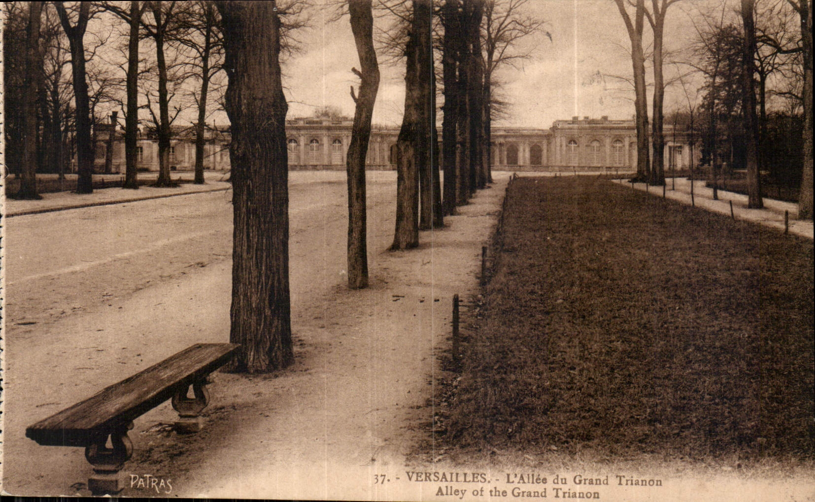 CPA Versailles l'Allee du Grand Trianon 