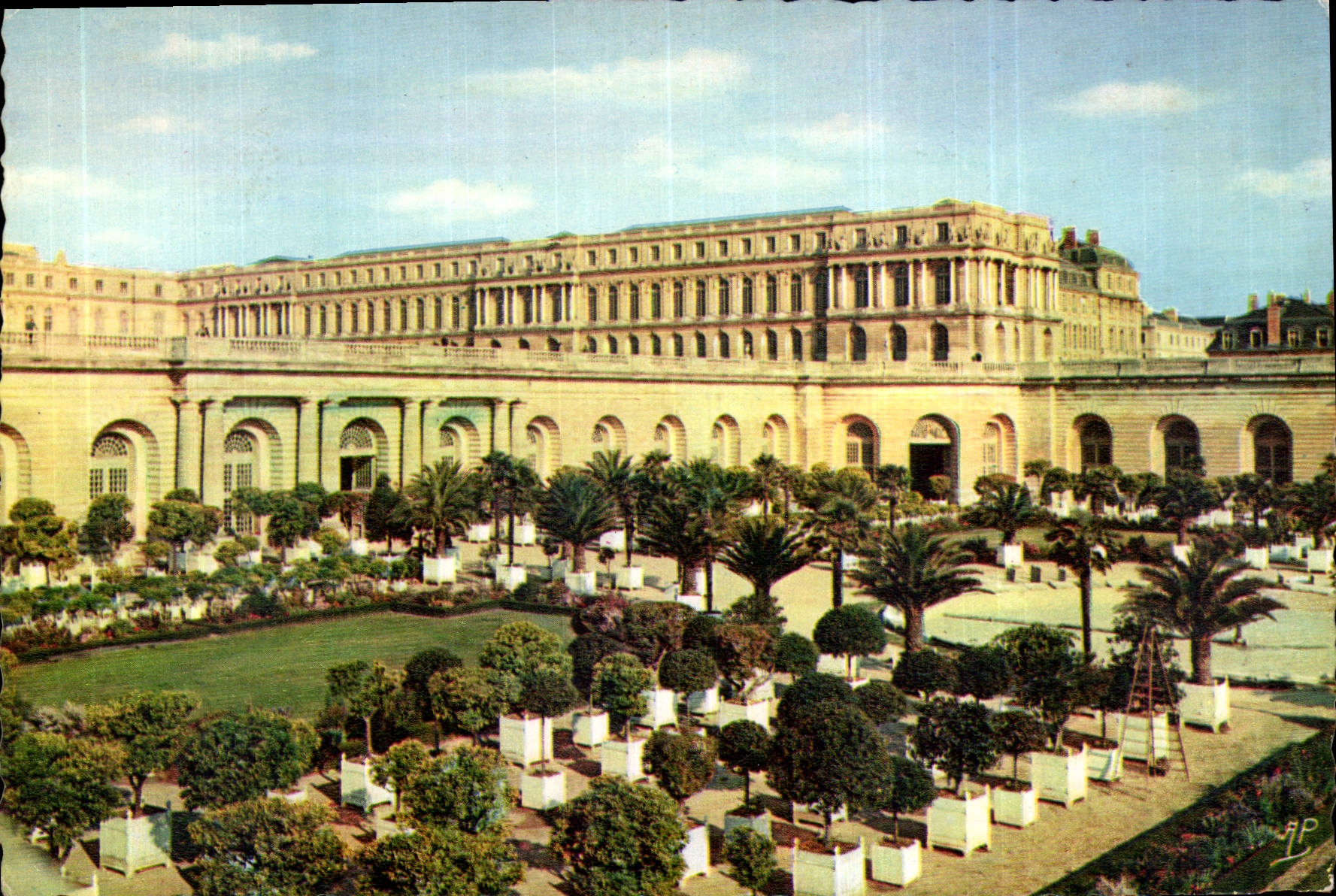 CPM Versailles S et O Le Chateau et l'Orangerie 