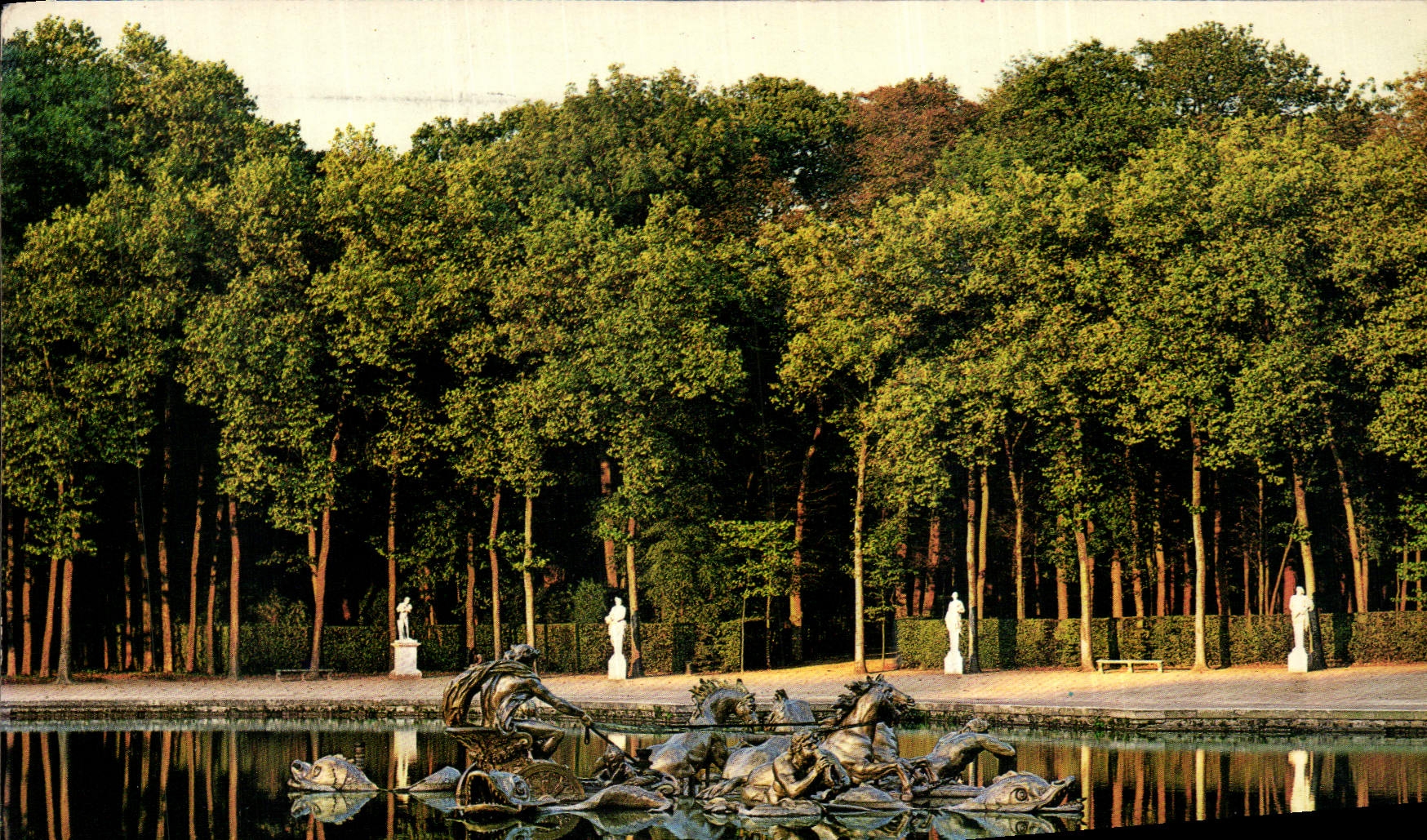 CPM Versailles La Bassin d'Apollon