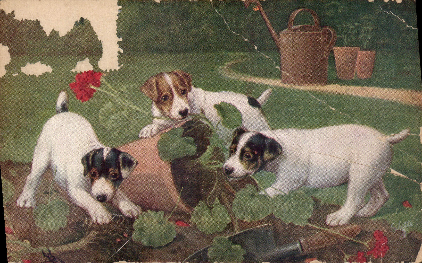 CPA Raphael Toule & Sons Oilette Chiens