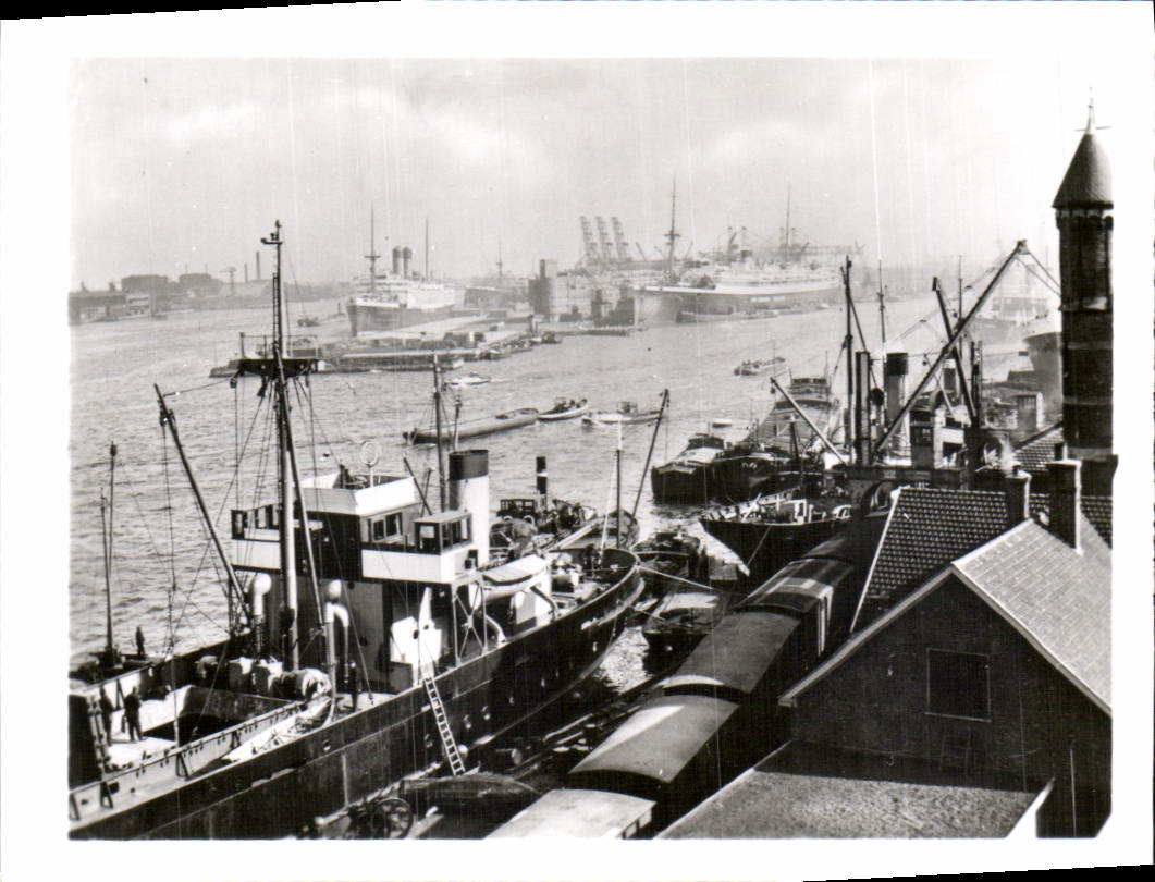 CPM Amsterdam Vue sur le Port 