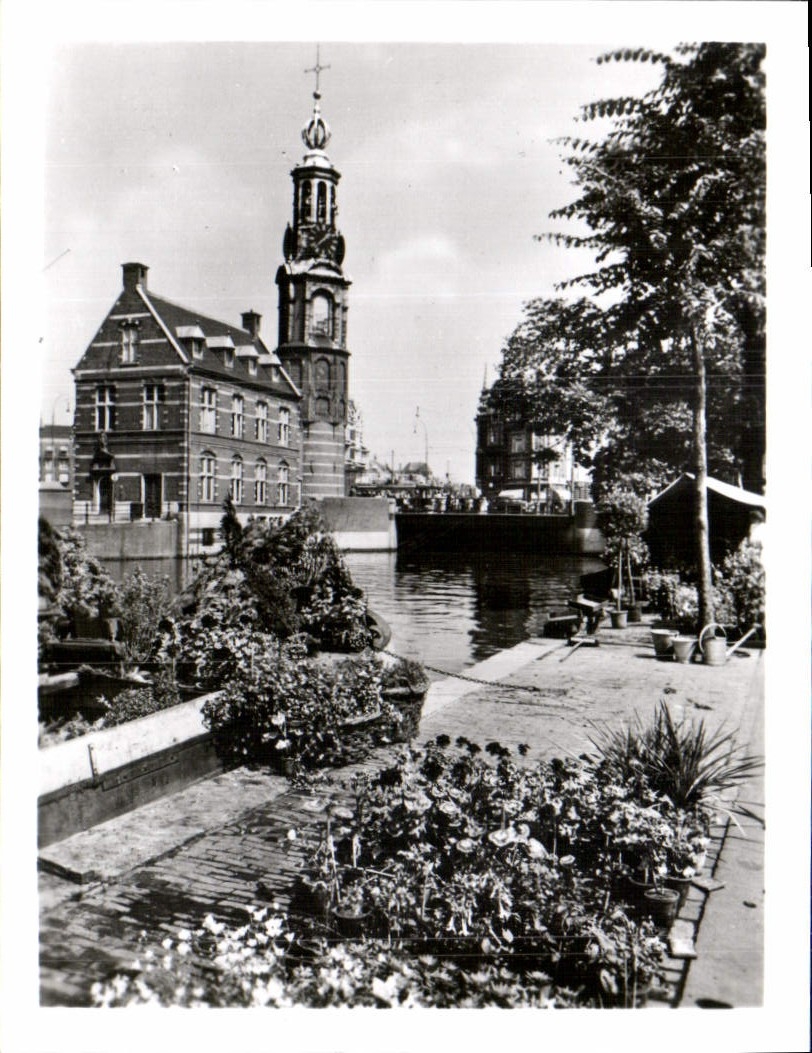 CPM Amsterdam Singel avec la Tour de la Monnaye et le marche aux fleurs 