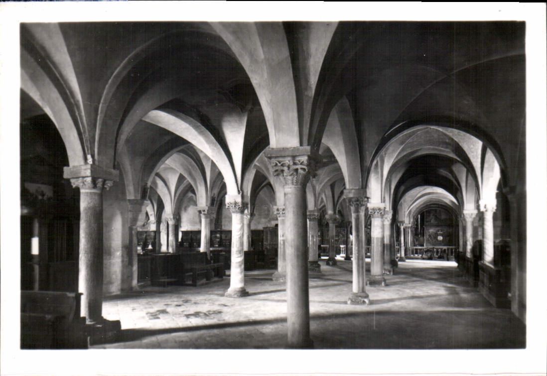 CPM Parma Dome Chypte 