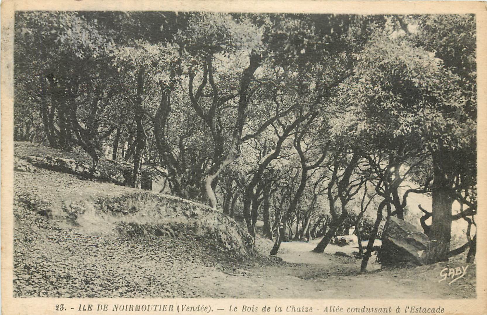 CPA Ile de Noirmoutier Vendee le Bois de la Chaize Allee canduisant a l'Estacade