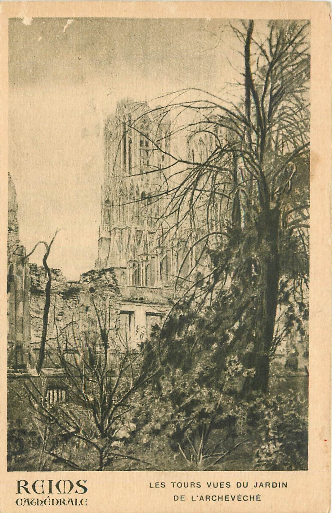 CPA Reims Cathedrale les tours vues du jardin de l'Archeveche 