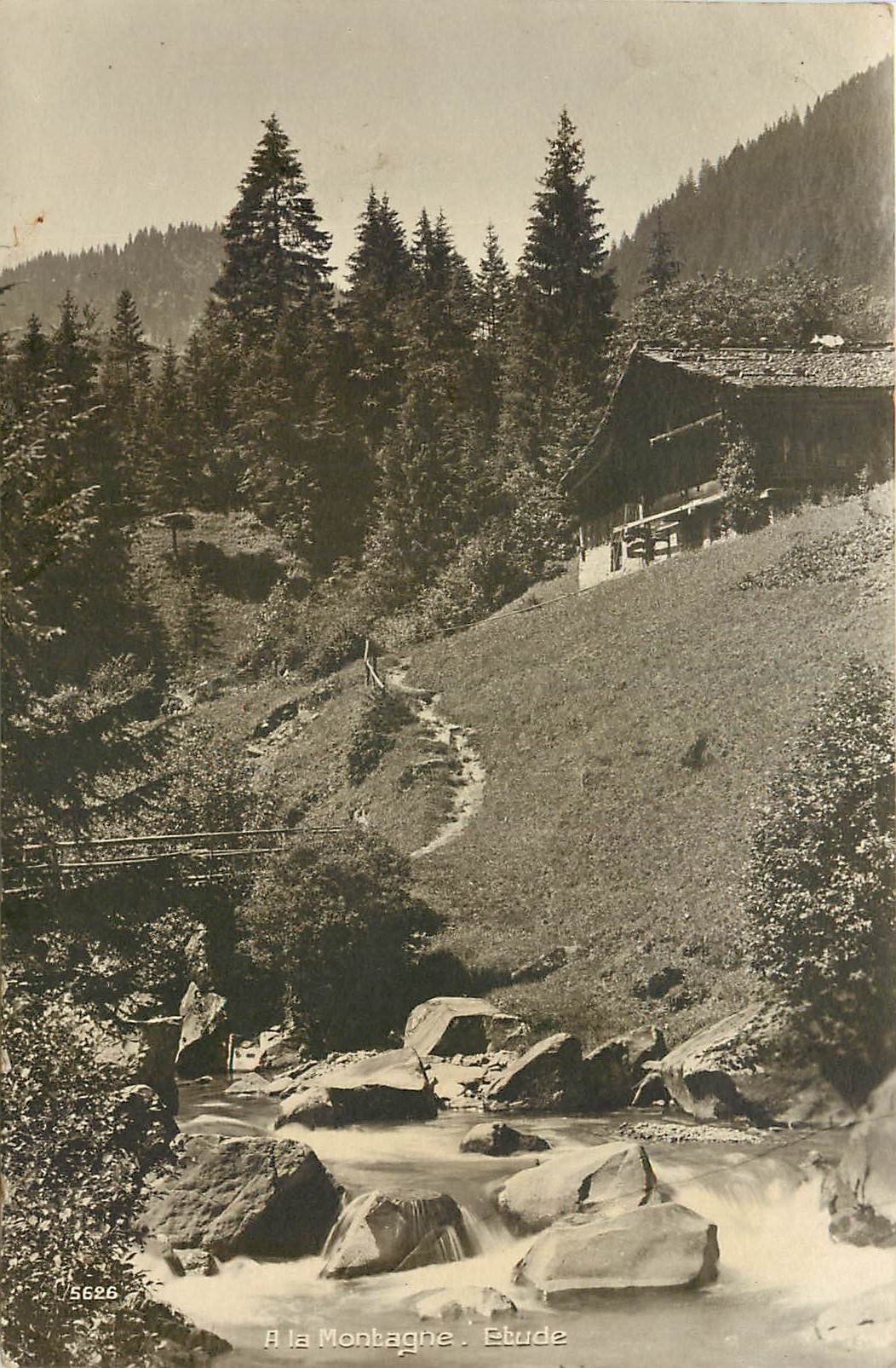 CPA A la montagne etude 