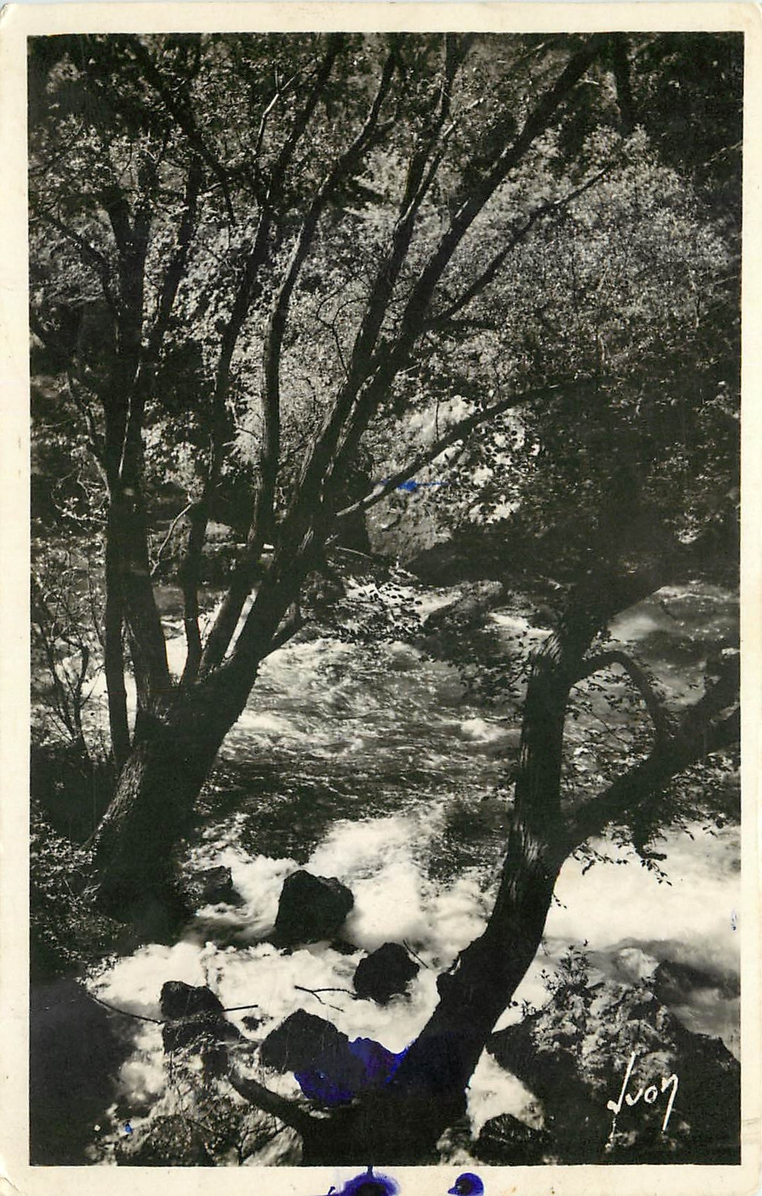 CPA Fontaine de Vaucluse Cascades et rochers