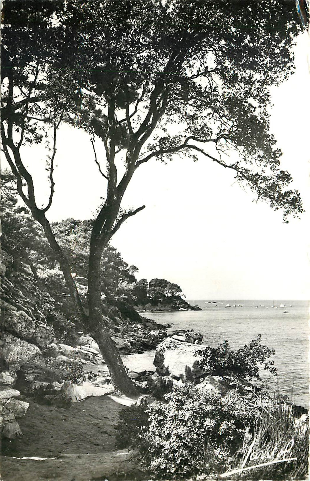 CPA Noirmoutier Vendee anse rouge et entree de la grotte St Philibert Bateau