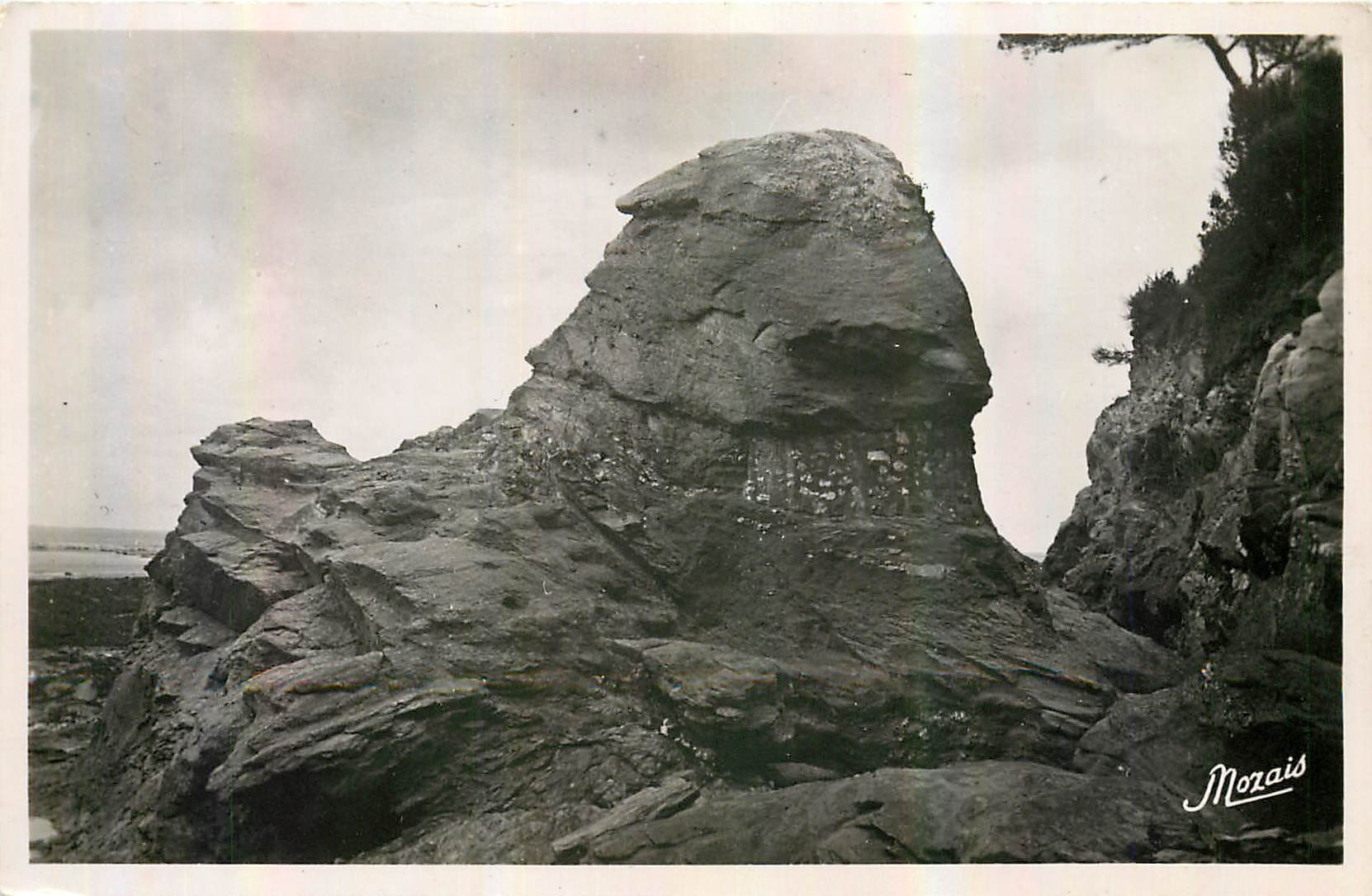 CPA La Bernerie L I Le Rocher de Roche grise
