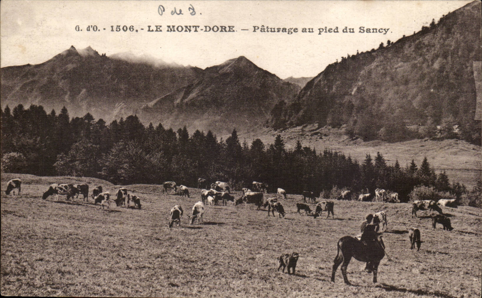 The Mount Gilds CPA Paturage with the foot of Sancy (cows)