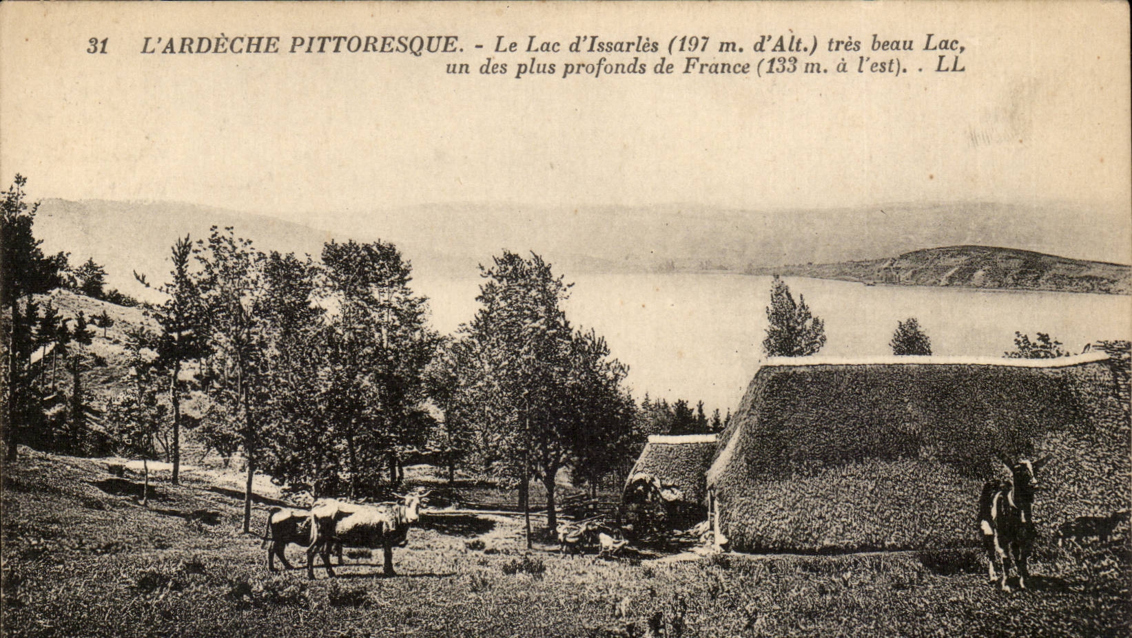L'ardeche pittoresque CPA Le lac d'Issarles (197m d'alt) tres beau lac un des plus profonds de France (chevres)