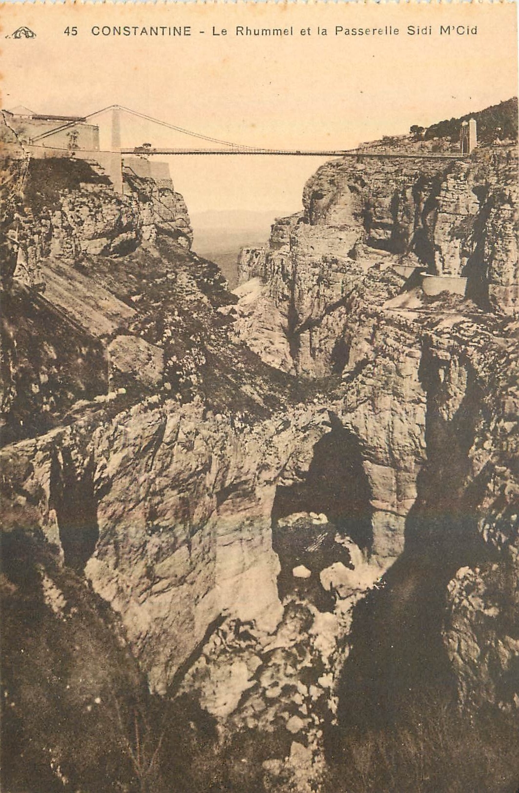 CPA Constantine Le Rhummel et la Passerelle Sidi M'Cid
