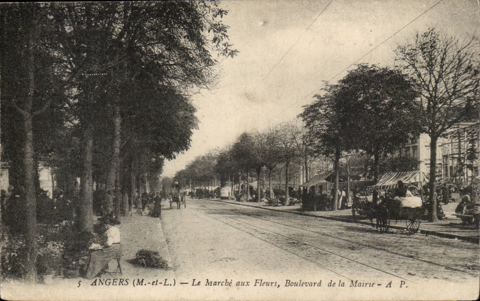 Angers CPA Market with the flowers Boulevard of the Town hall