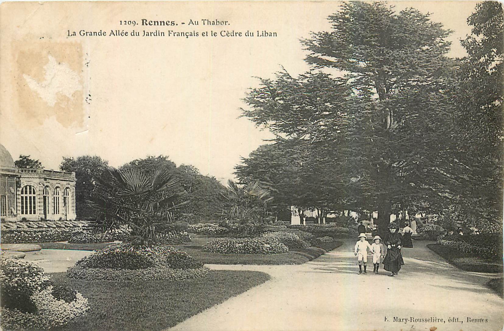 CPA Rennes Au Thabor La Grande Allee du Jardin Francais et le Cedre du Liban