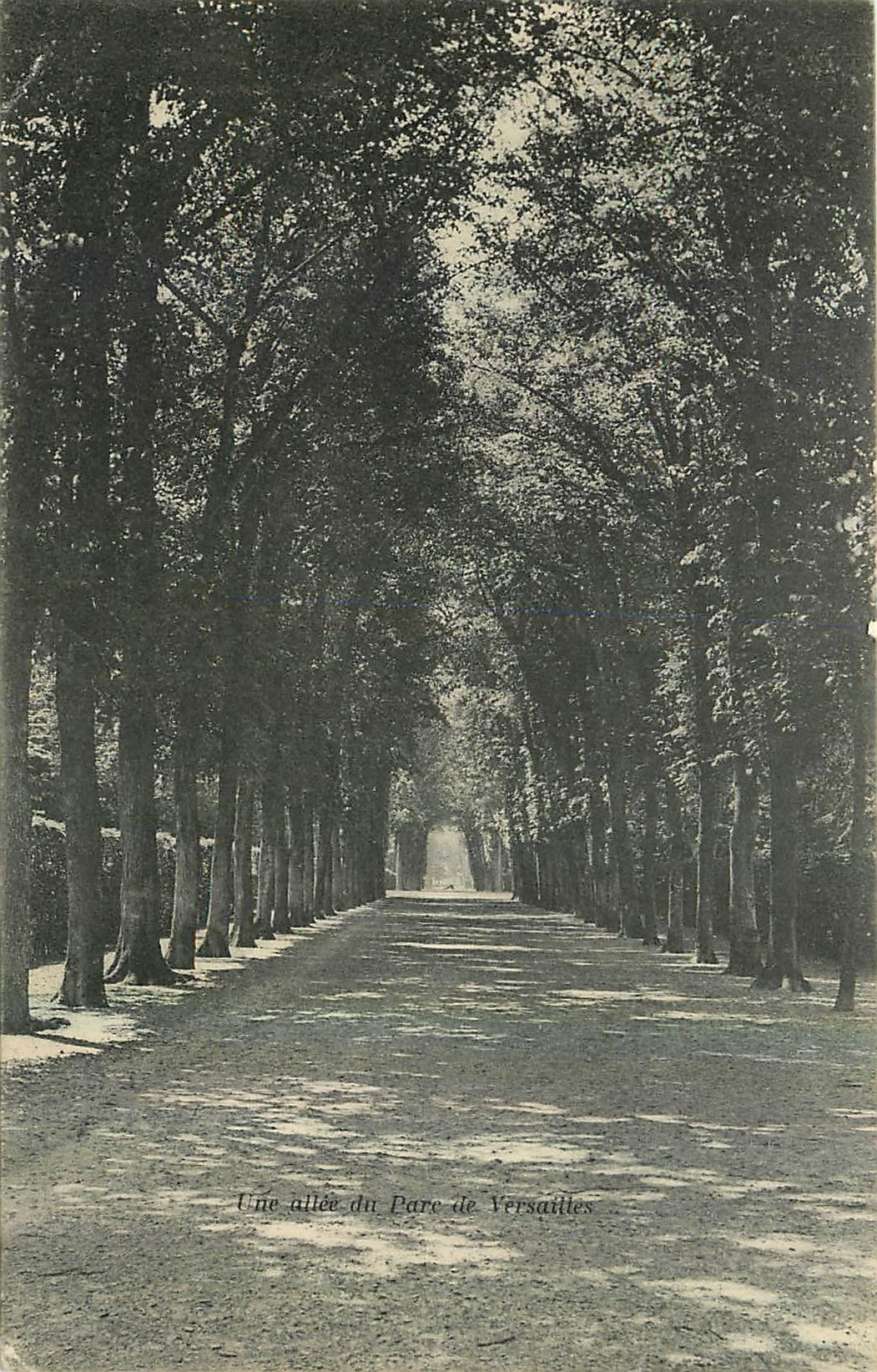 CPA Une allee dir Parc de Versailles