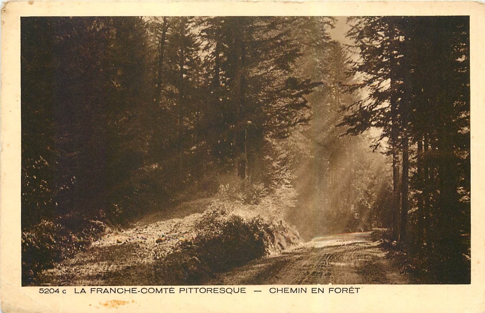 CPA La Franche comte Pittoresque Chemin en Foret