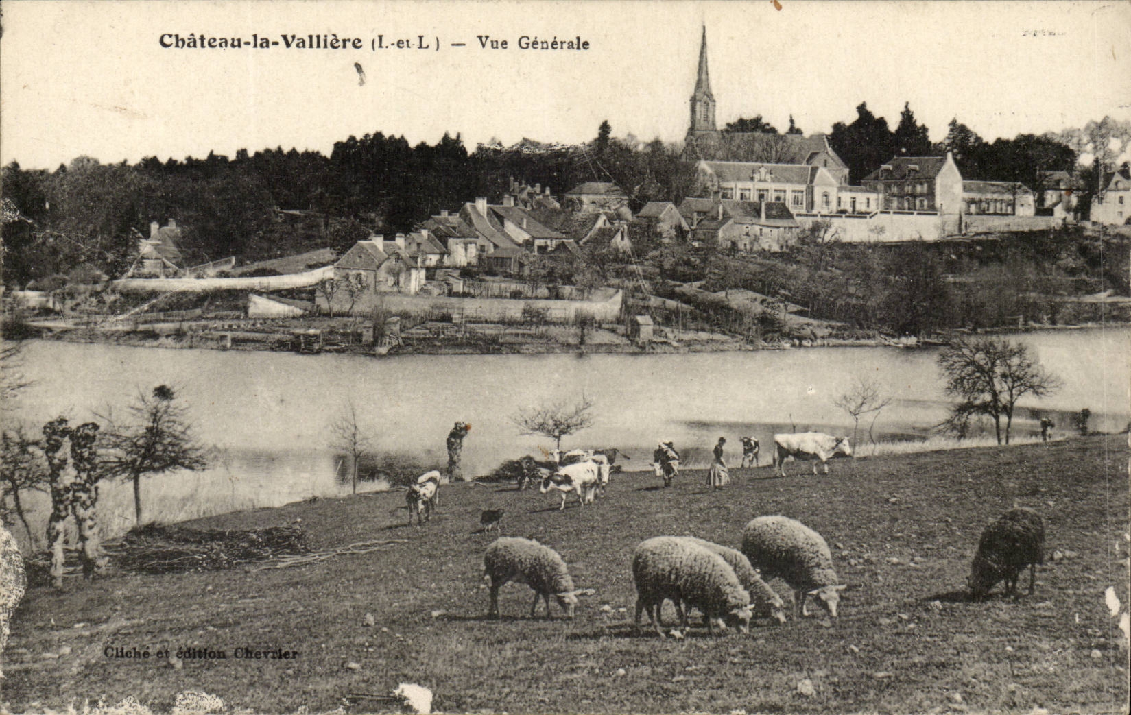 chateau la Valliere CPA Vue generale (moutons)