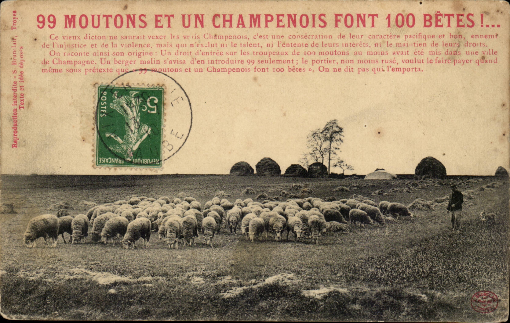 99 sheep and a campenois make 100 animals