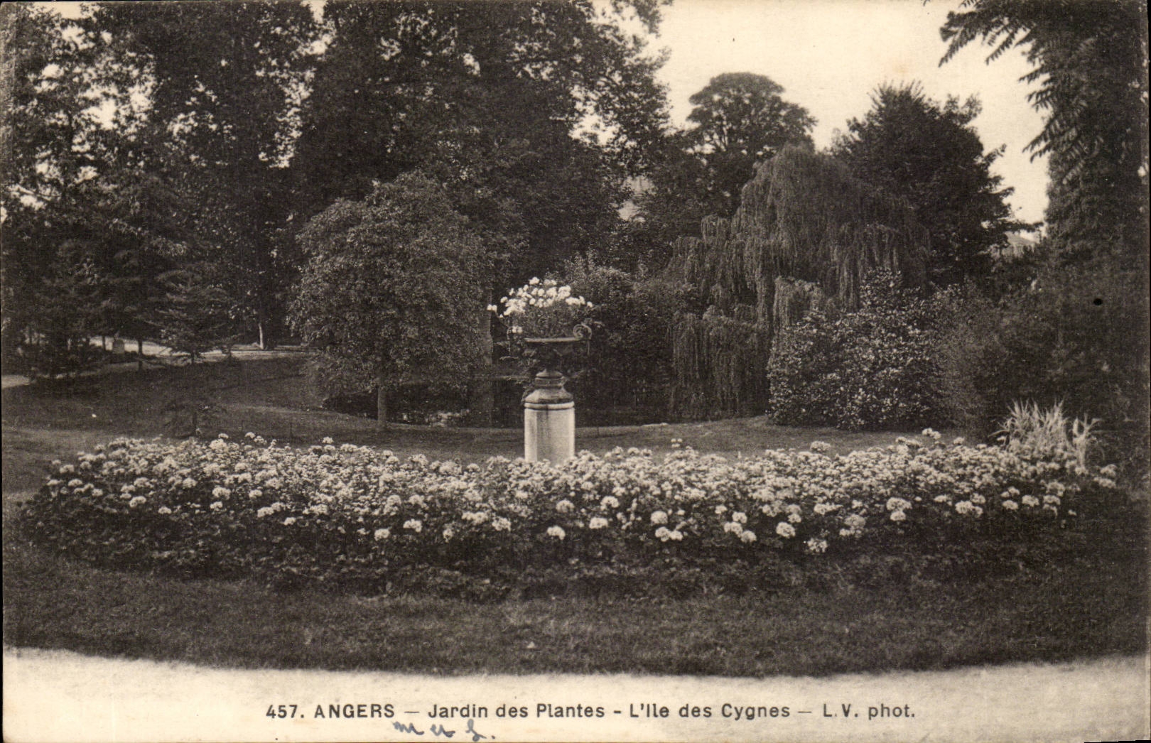 Angers CPA Botanical garden the island of the swans