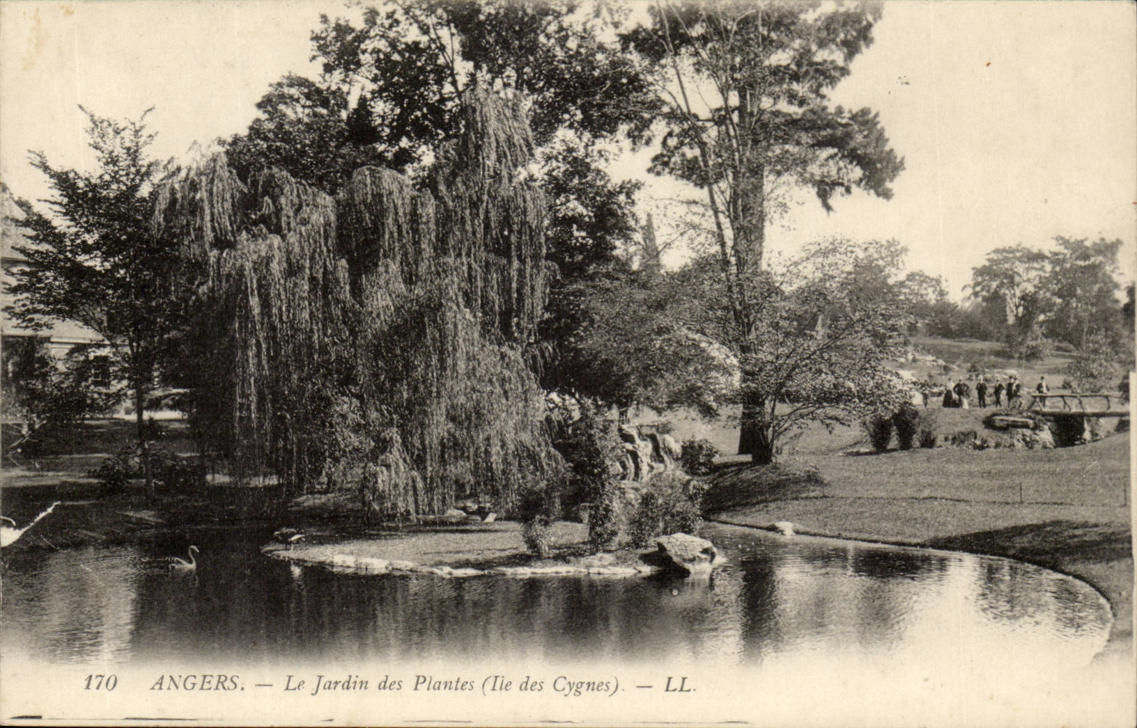 Angers CPA the Botanical garden the island of the swans