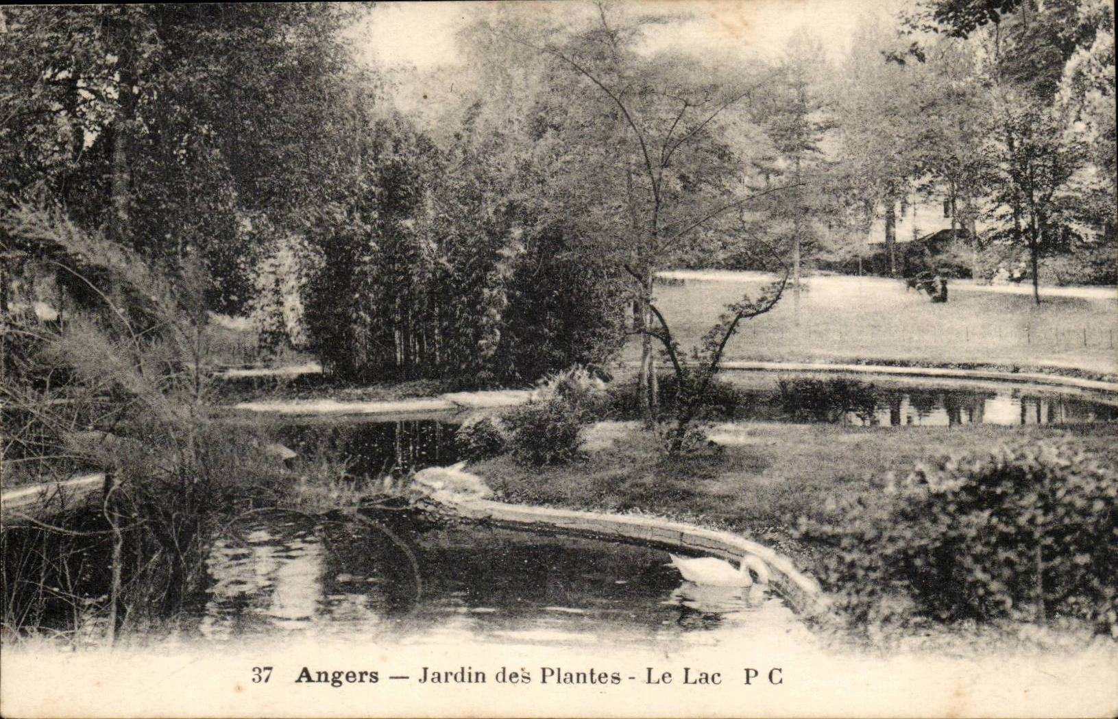 Angers CPA Botanical garden