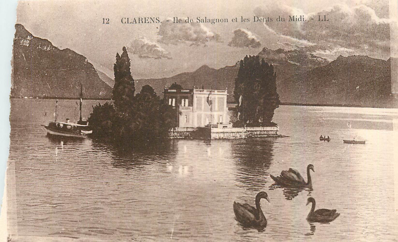 CPA Charles Ile de Salagnon et les Dents du Midi Cygnes