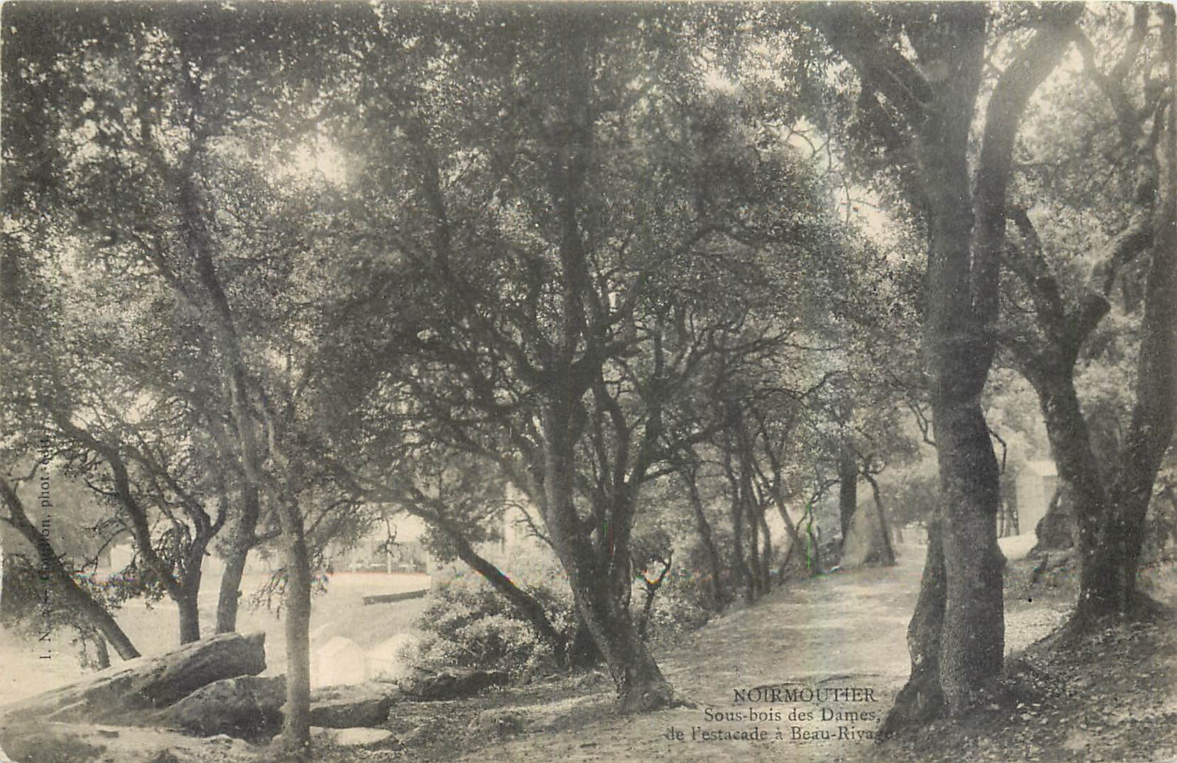 CPA Noirmoutier Sous bois des Dames 