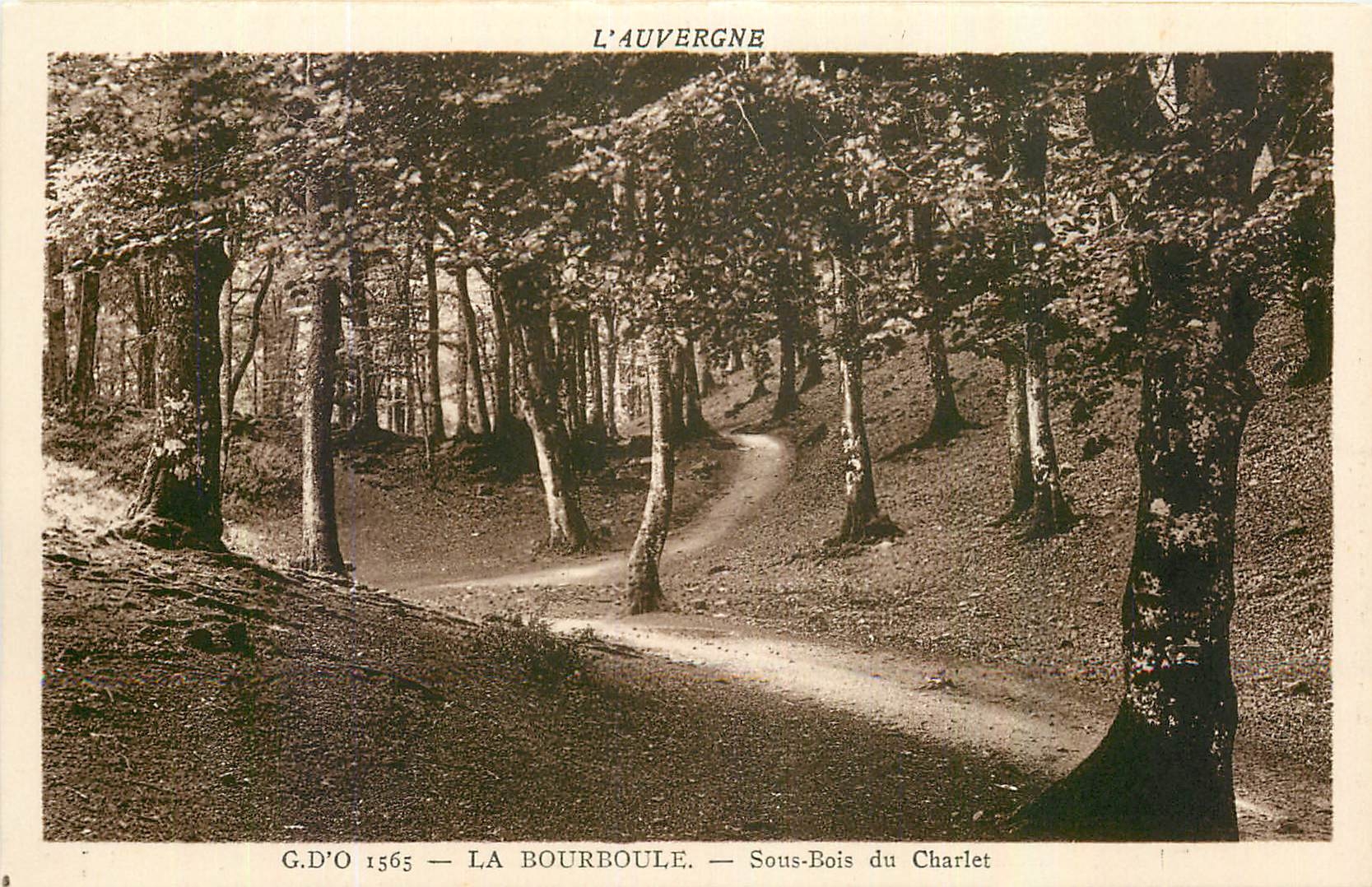 CPA L'Auvergne La Bourboule Sous Bois du Charlet 