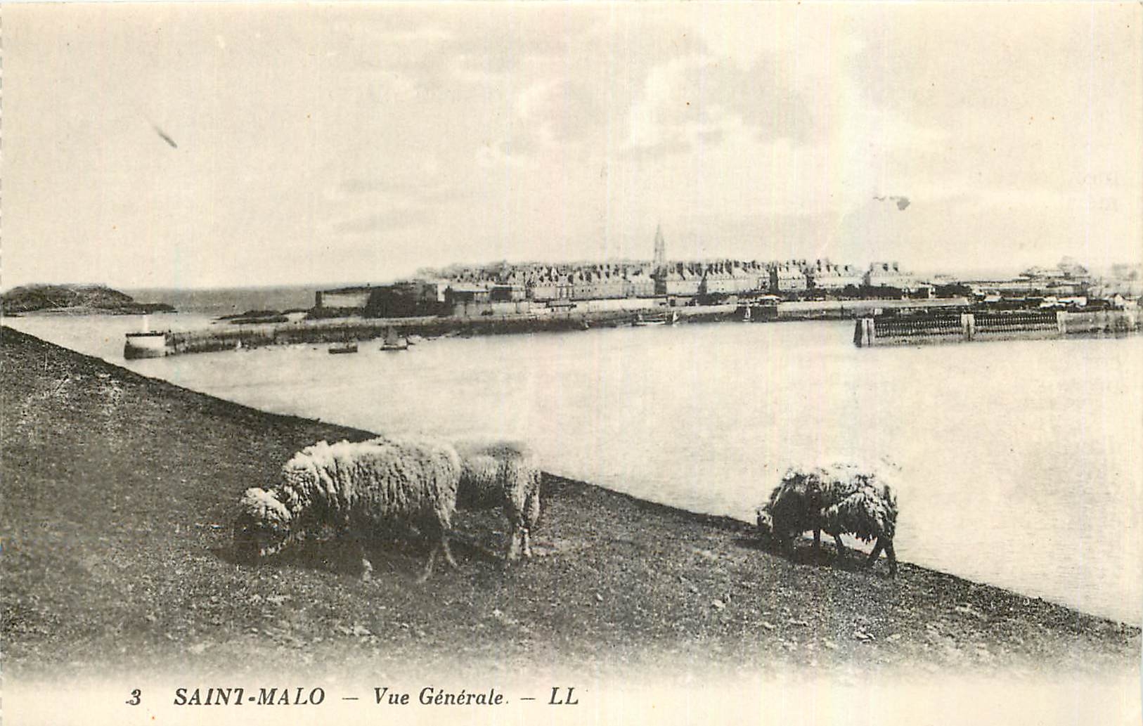 CPA Saint Malo Vue generale Moutons