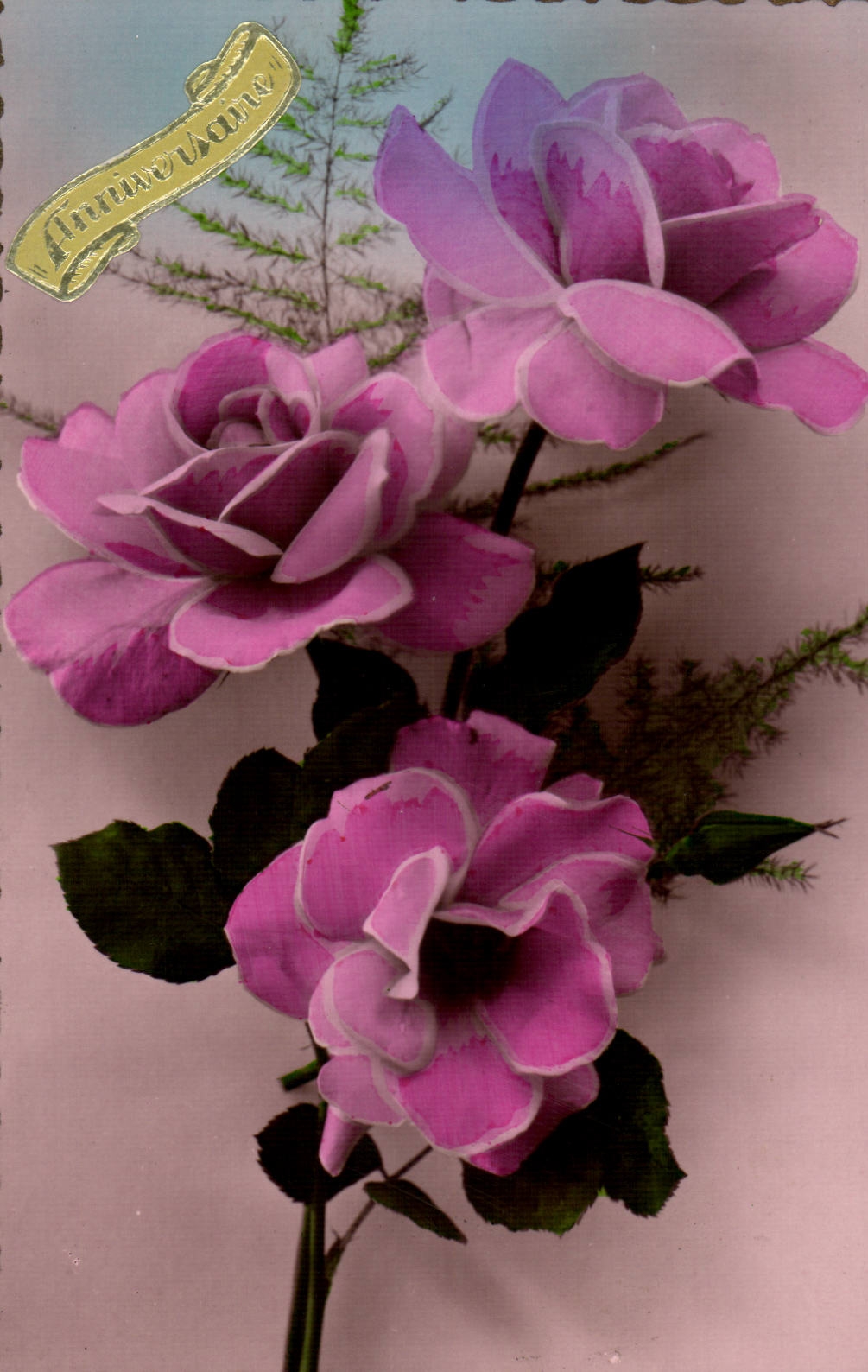 Fantasy CPA Birthday Flower pink