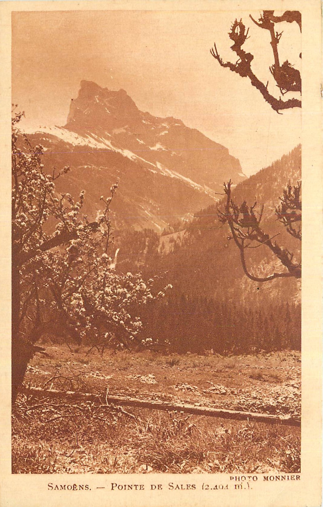 CPA Samoens Pointe de Sales 