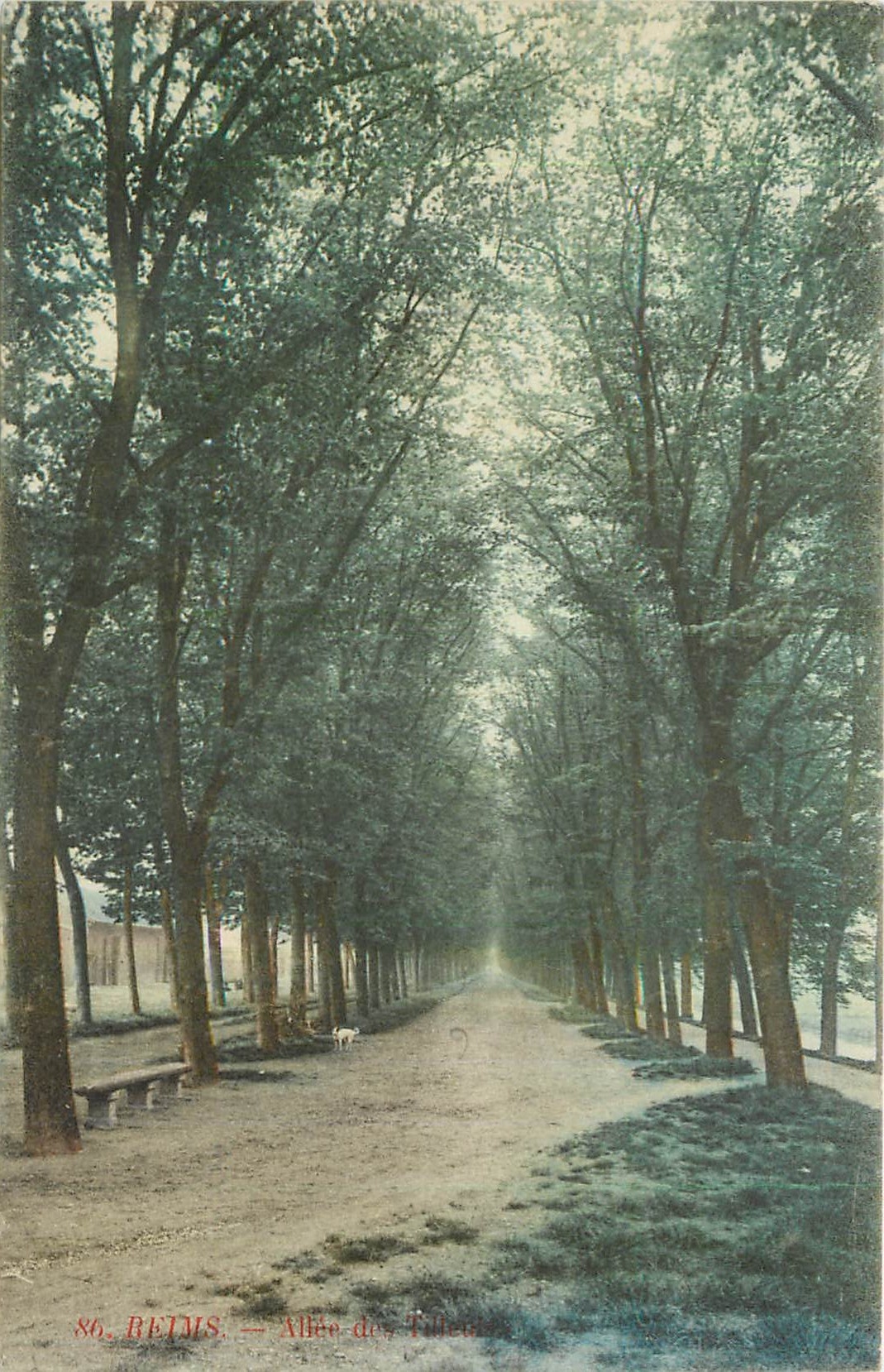 CPA Reims Allee 