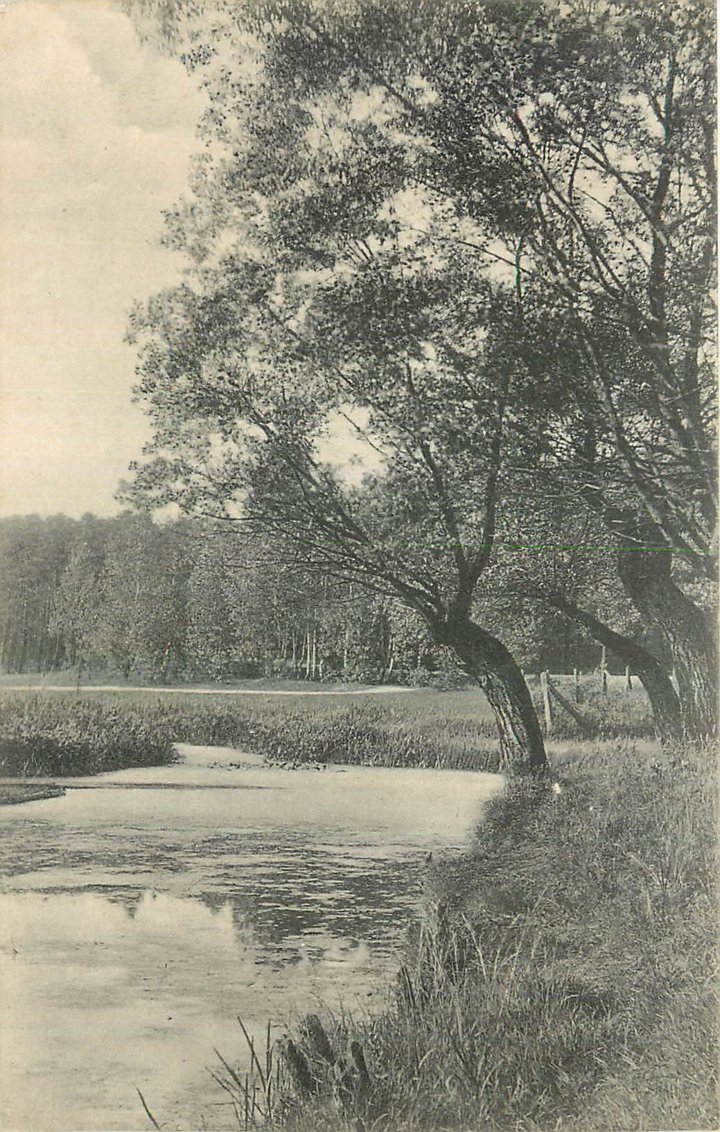 CPA Arbres au bord de l'etang
