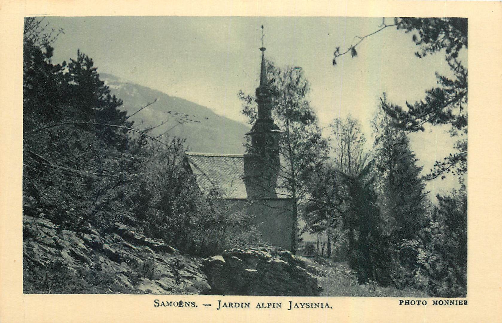 CPA Samoens Jardin alpin Jaysinia 