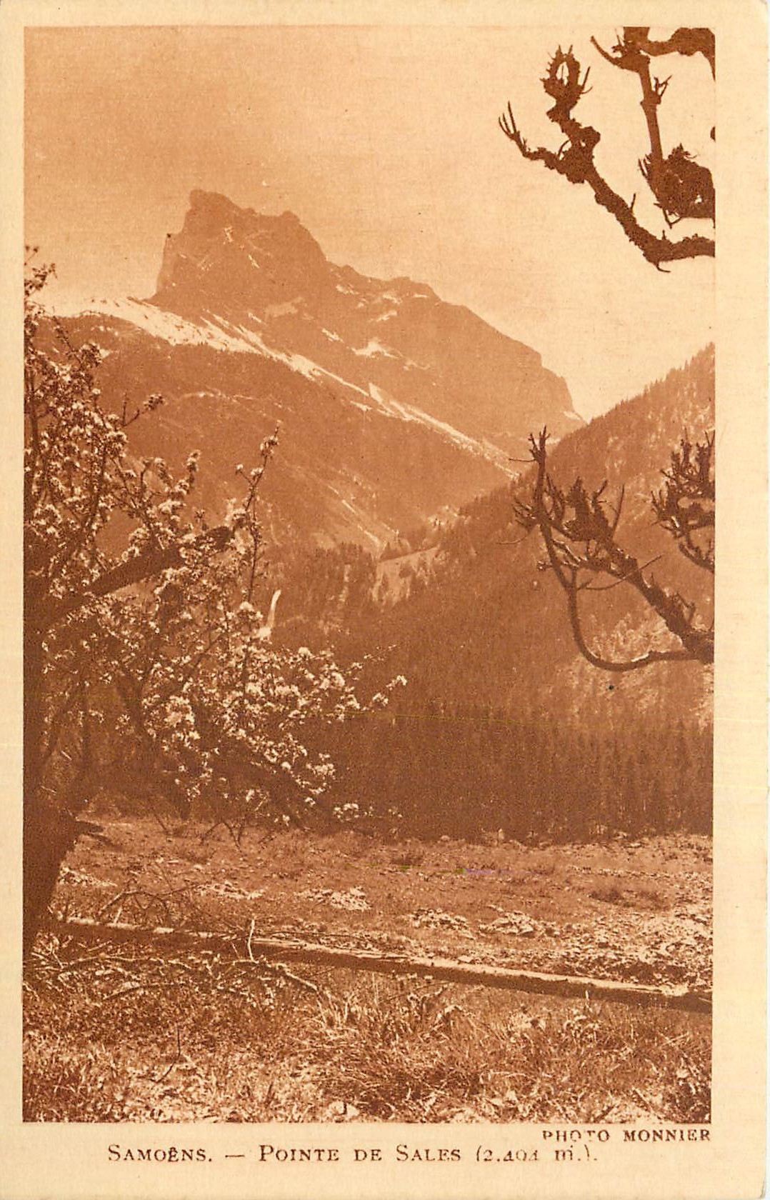 CPA Samoens Ponte de Sales 