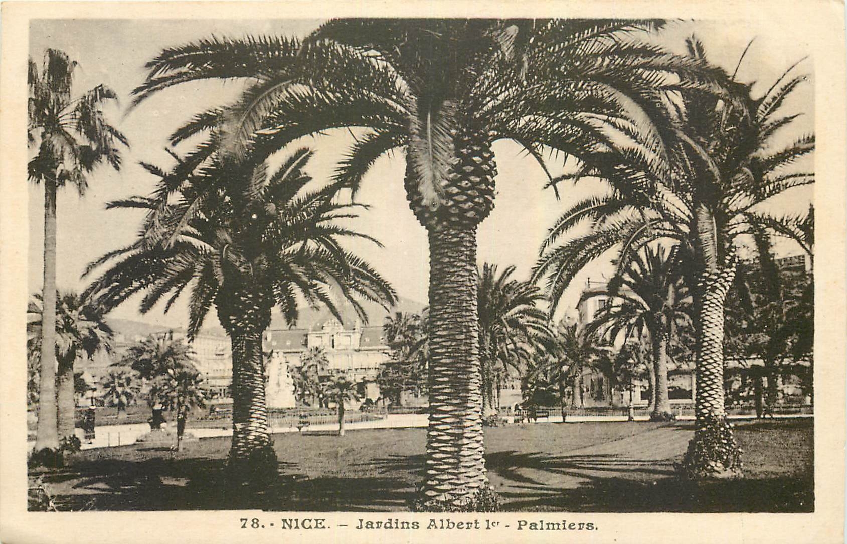 CPA Nice Jardins Albert I Palmiers 