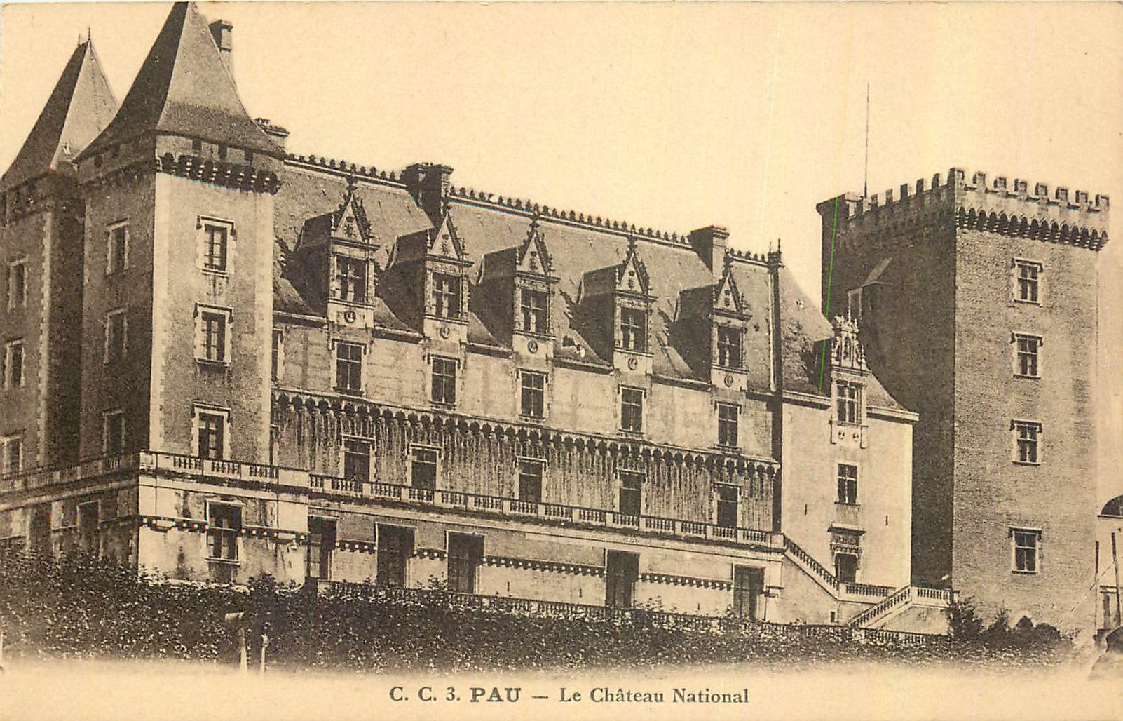 CPA Pau Le Chateau National 