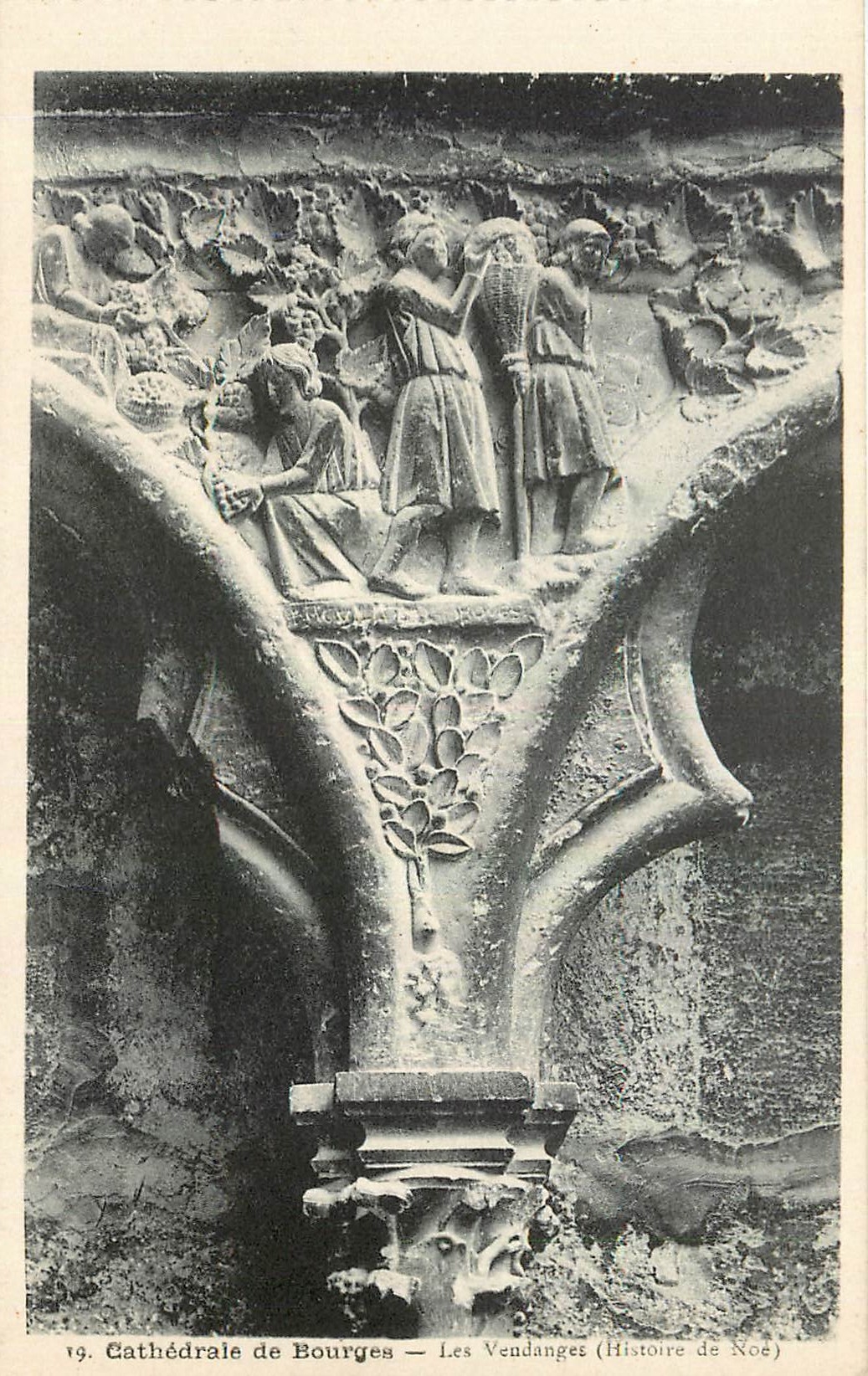 CPA Ctahedrale de Bourges Les Vendanges 