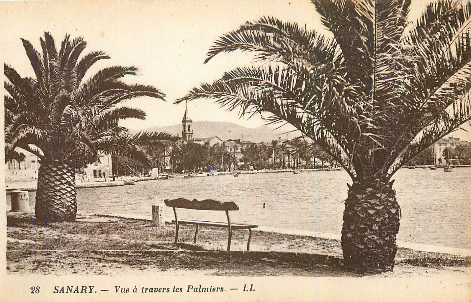 CPA Sanary Vue a travers les Palmiers 
