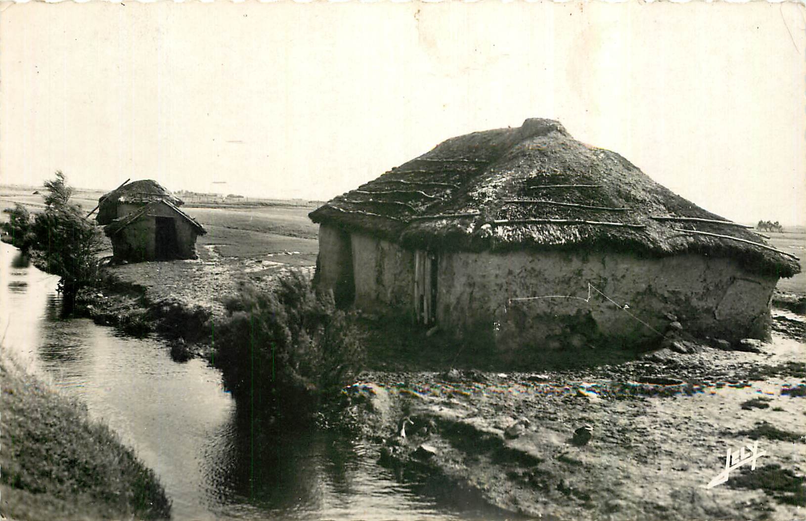CPA Au Marais du Pays de monts Vieille Bourine 