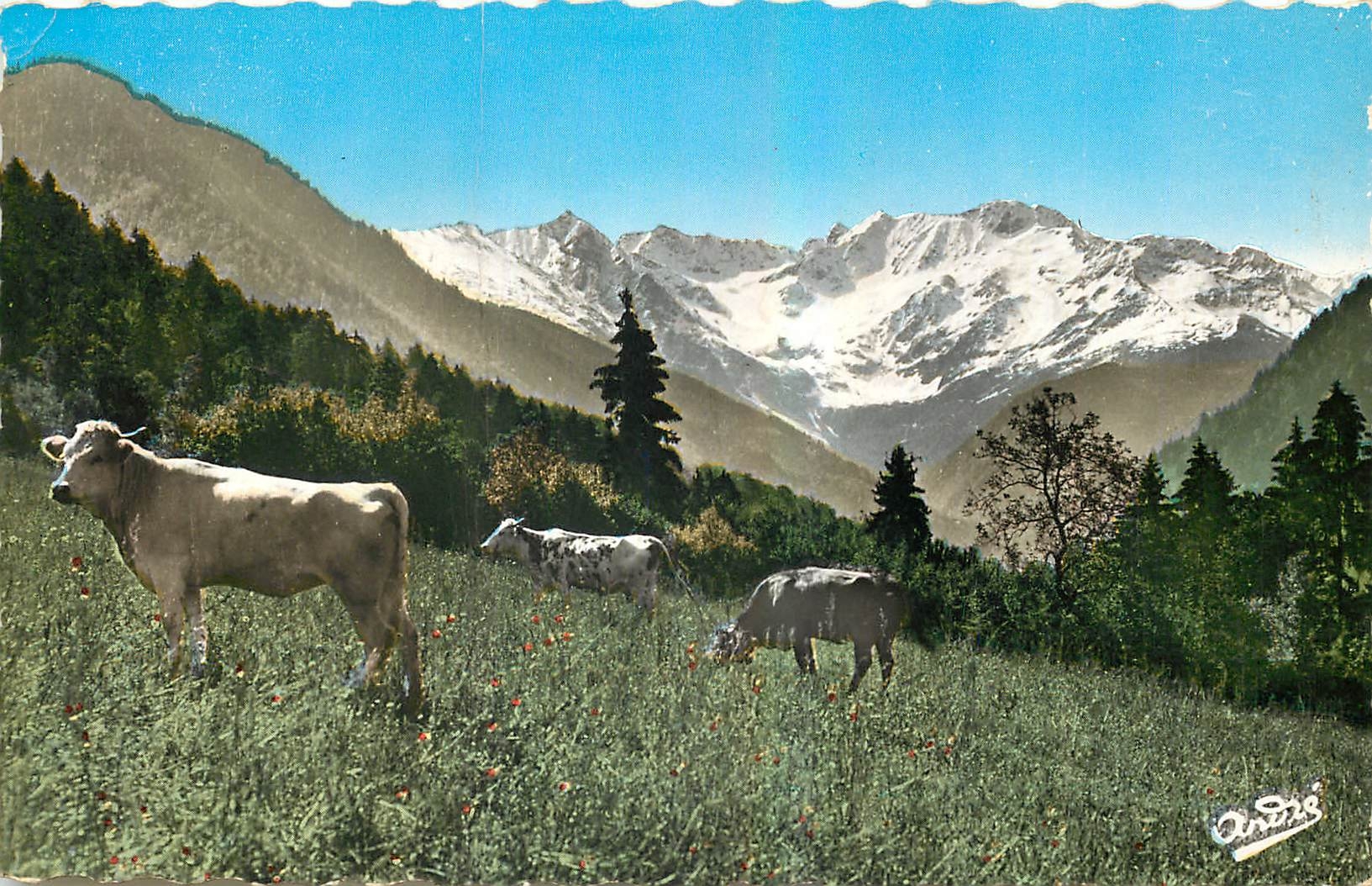 CPM Paysages Alpestres Paturage Vaches