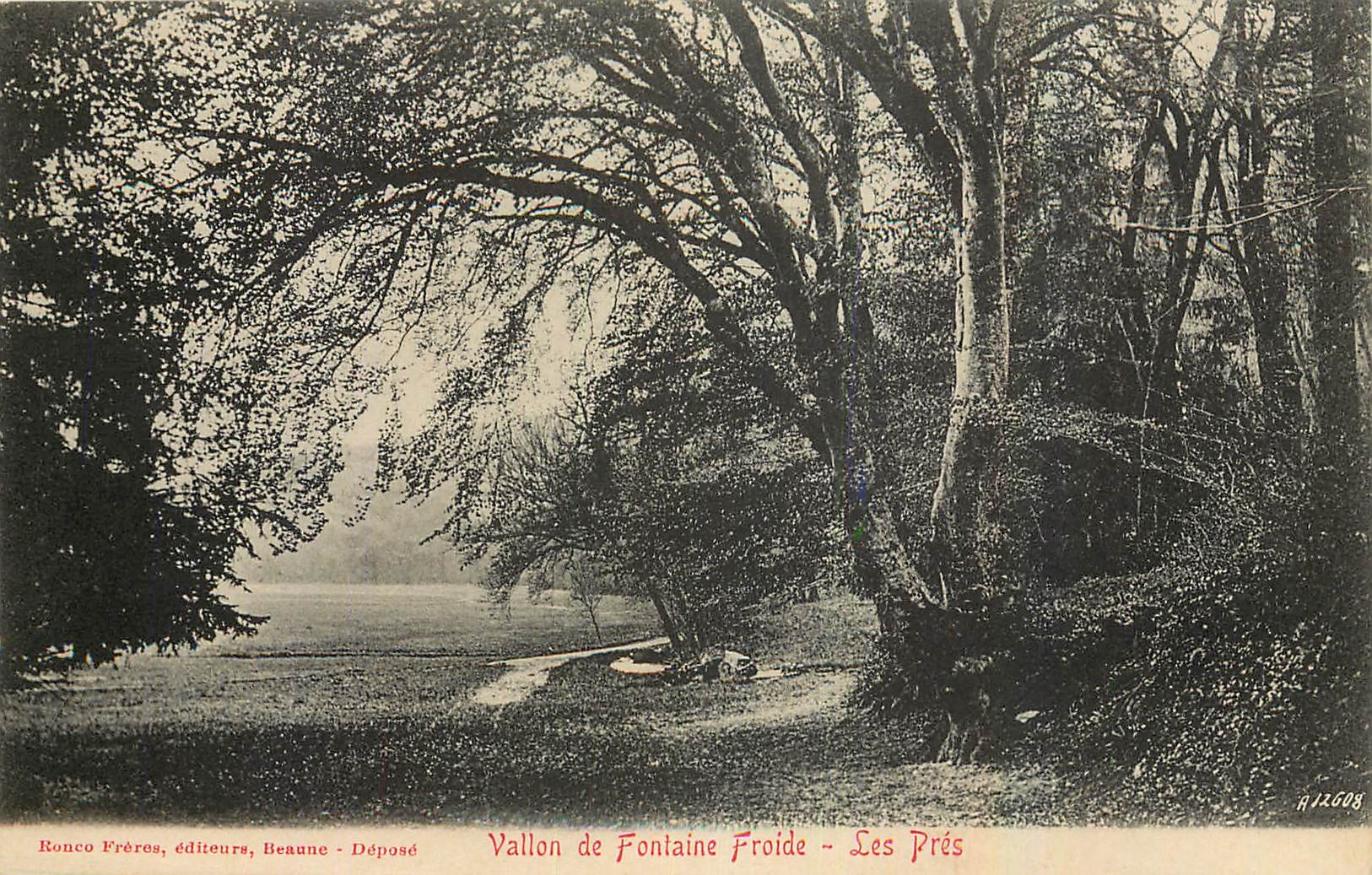 CPA Vallon de Fontaine Froide Les Pres 