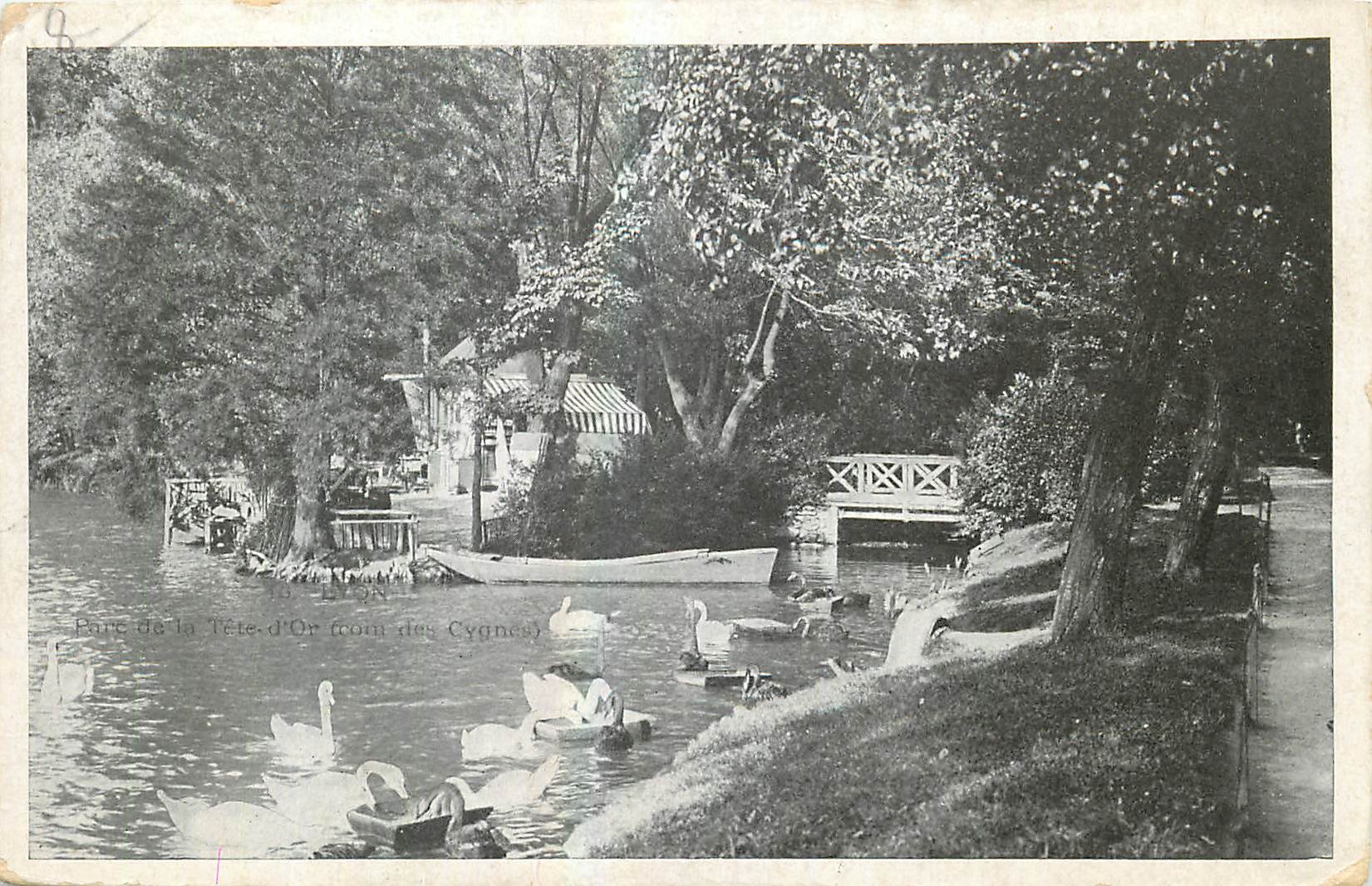CPA Parc de la Tete d'Or Coin des Cygnes Lyon