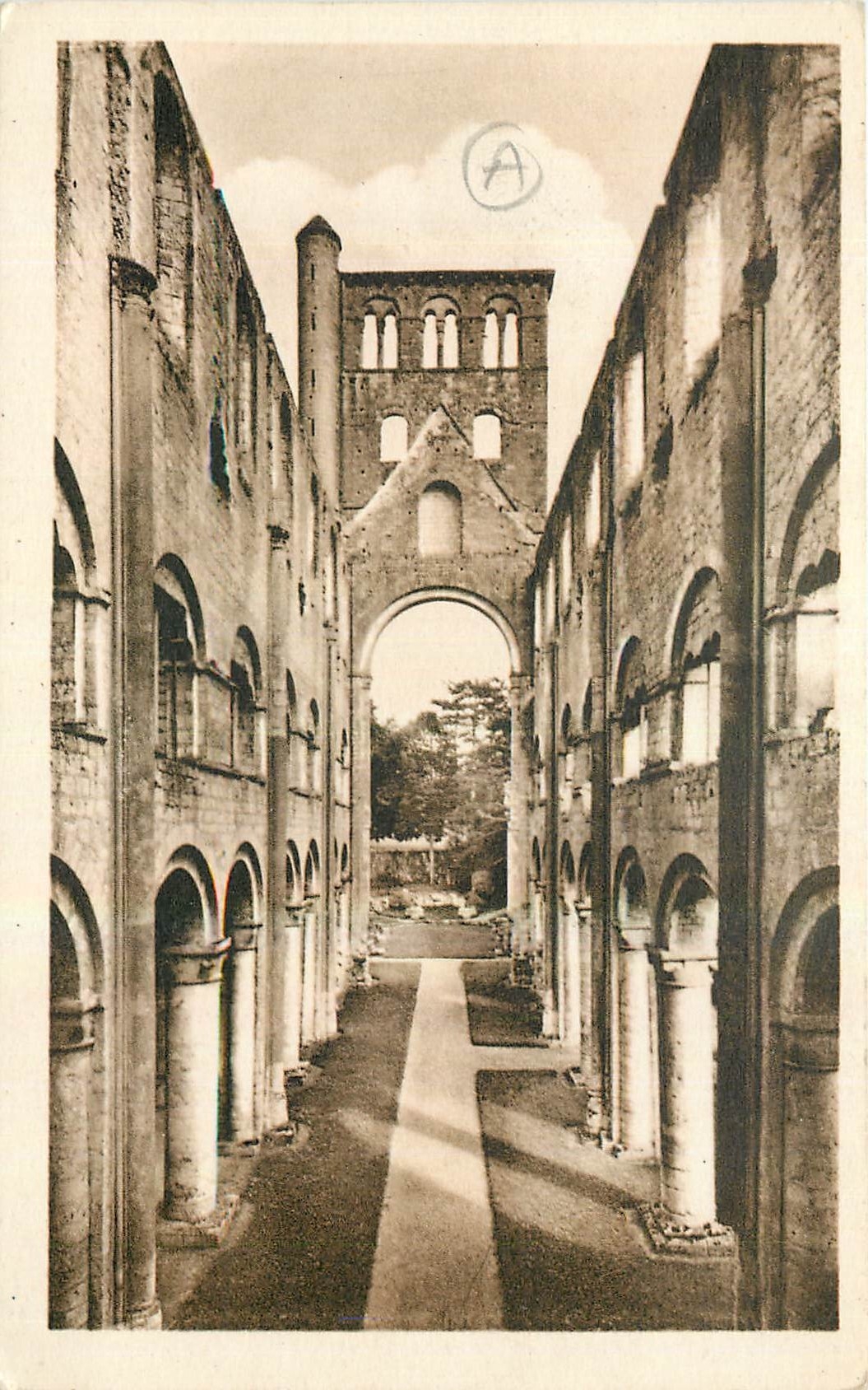 CPA Abbaye de Jumieges les ruines Eglise Notre Dame La Nef Vue prise de l'Entree 