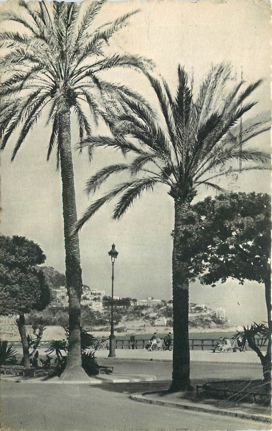 CPA Nice Quai des Etats Unis Le Mont Boron 