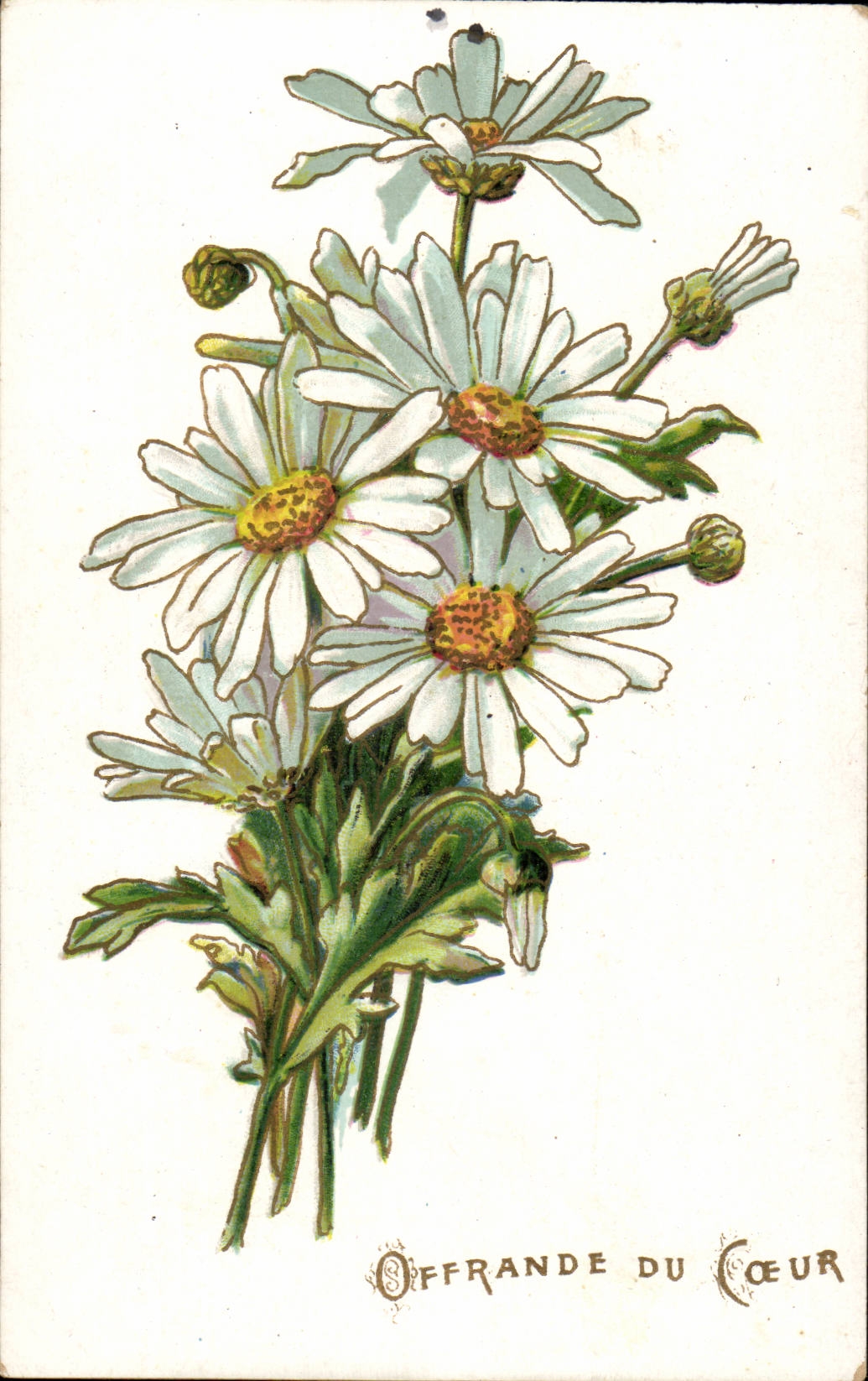 CPA Fantasy Flower offering of the heart