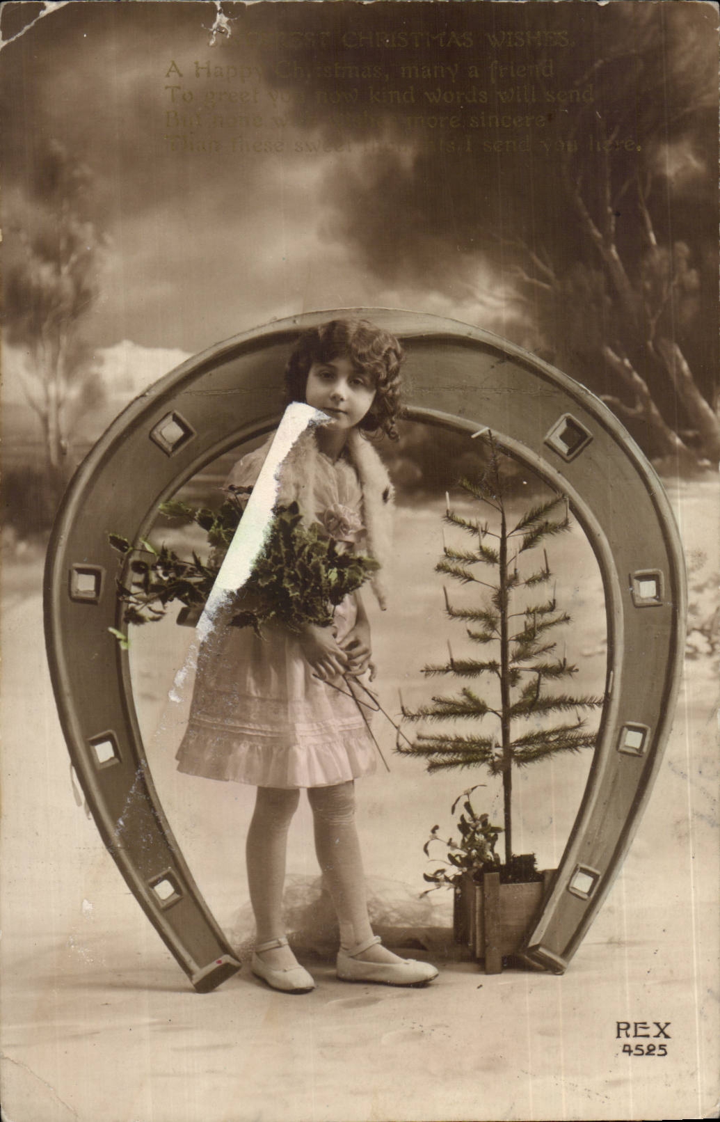 CPA Fantasy Woman Horseshoe